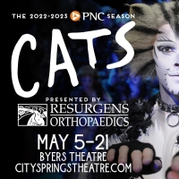 Broadway Legend Baayork Lee to Direct and Choreograph CATS at City Springs Theatre Company