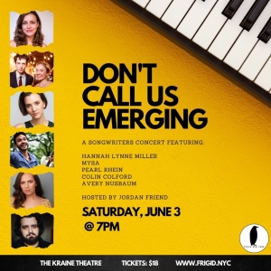 DON'T CALL US EMERGING: A SONGWRITERS CONCERT to Take Place at The Kraine Theatre