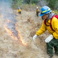 New Documentary About Wildfire Screens At Park Theatre For Earth Day Weekend