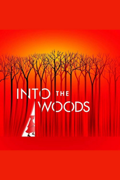 Into the Woods Broadway Show | Broadway World