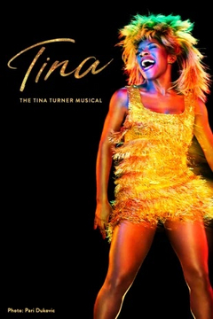 Tina: The Tina Turner Musical Broadway Show | Broadway World